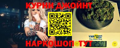 мдпв Кингисепп