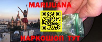 мдпв Кингисепп