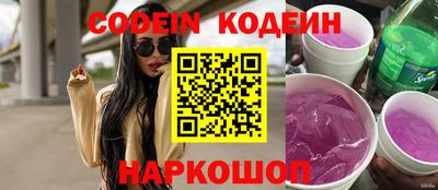 мдпв Кингисепп
