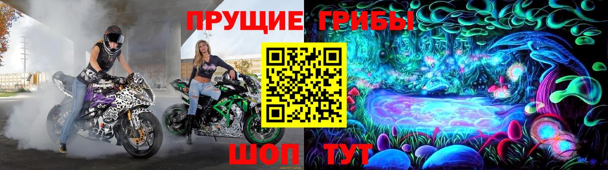 Галлюциногенные грибы мицелий  Вход с VPN  Галлюциногенные грибы GOLDEN TEACHER  Вологда 